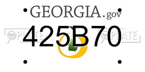 425B70 Georgia License Plate