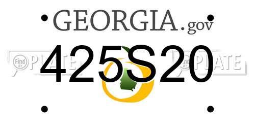 425S20 Georgia License Plate