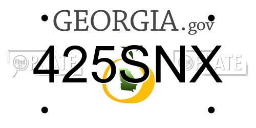 425SNX Georgia License Plate