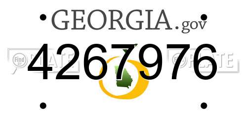 4267976 Georgia License Plate