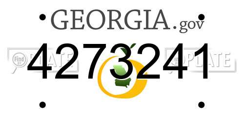 4273241 Georgia License Plate