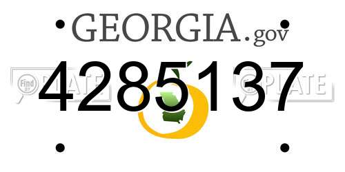 4285137 Georgia License Plate