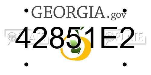 42851E2 Georgia License Plate