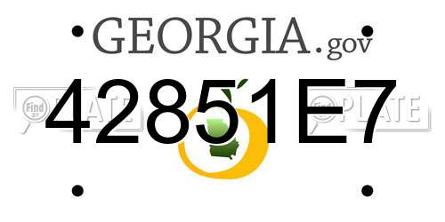 42851E7 Georgia License Plate