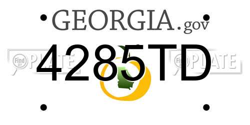 4285TD Georgia License Plate