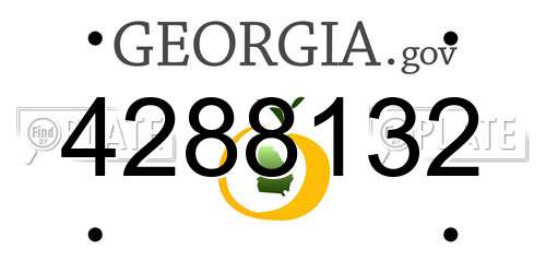 4288132 Georgia License Plate