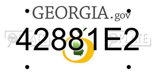 42881E2 Georgia License Plate