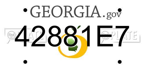 42881E7 Georgia License Plate