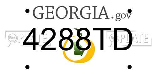4288TD Georgia License Plate