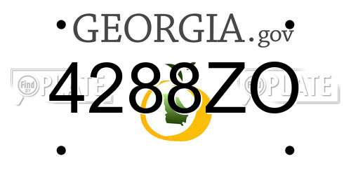 4288ZO Georgia License Plate