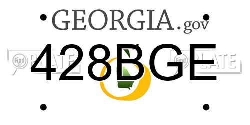 428BGE Georgia License Plate