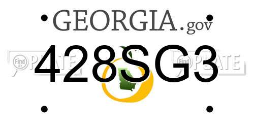 428SG3 Georgia License Plate