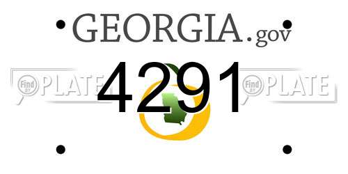4291 Georgia License Plate