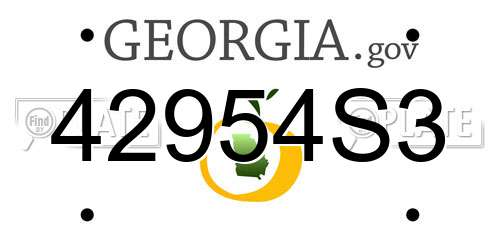 42954S3 Georgia License Plate