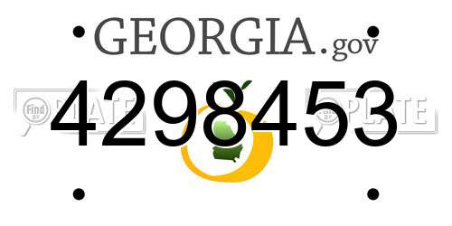 4298453 Georgia License Plate