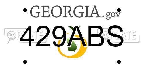 429ABS Georgia License Plate