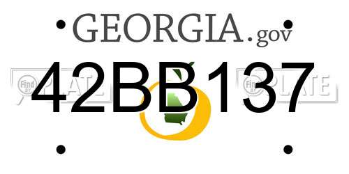 42BB137 Georgia License Plate