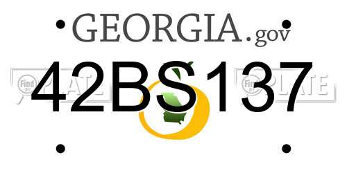 42BS137 Georgia License Plate