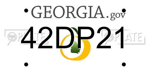 42DP21 Georgia License Plate