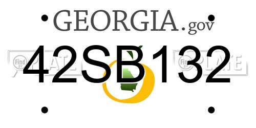 42SB132 Georgia License Plate