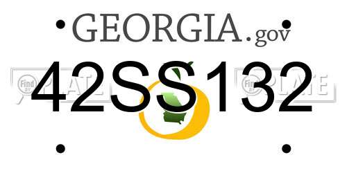 42SS132 Georgia License Plate