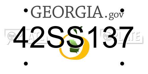 42SS137 Georgia License Plate