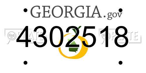 4302518 Georgia License Plate