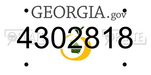 4302818 Georgia License Plate
