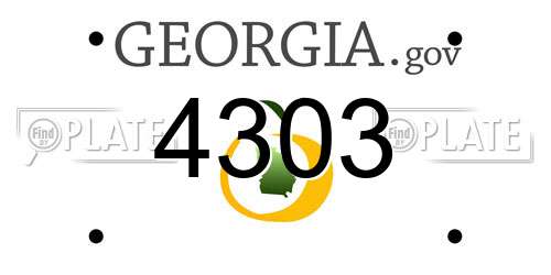 4303 Georgia License Plate