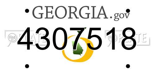 4307518 Georgia License Plate