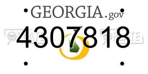 4307818 Georgia License Plate