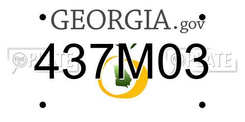 437M03 Georgia License Plate