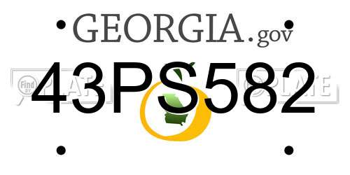 43PS582 Georgia License Plate