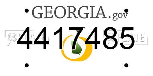 4417485 Georgia License Plate