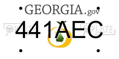 441AEC Georgia License Plate