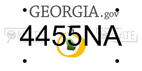 4455NA Georgia License Plate
