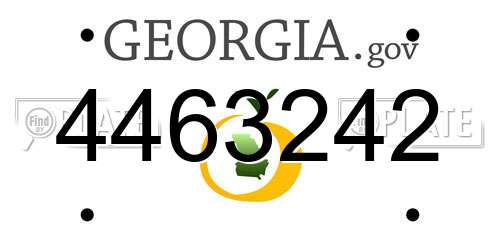 4463242 Georgia License Plate