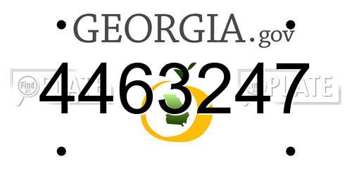4463247 Georgia License Plate