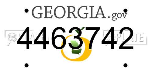 4463742 Georgia License Plate