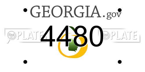 4480 Georgia License Plate