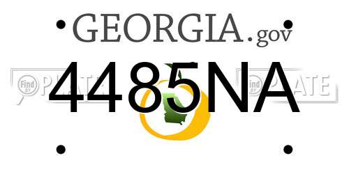 4485NA Georgia License Plate