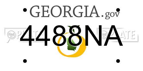 4488NA Georgia License Plate