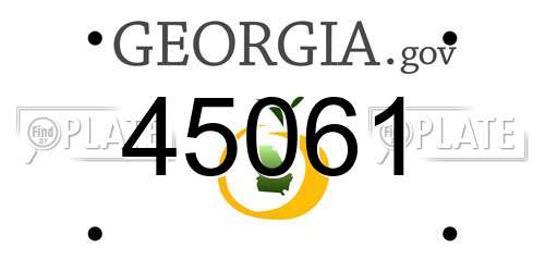 45061 Georgia License Plate