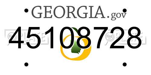 45108728 Georgia License Plate