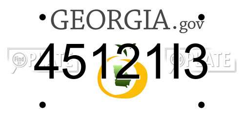 45121I3 Georgia License Plate