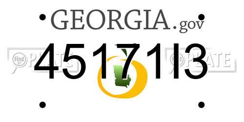 45171I3 Georgia License Plate