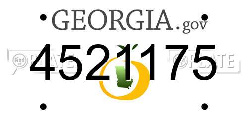 4521175 Georgia License Plate