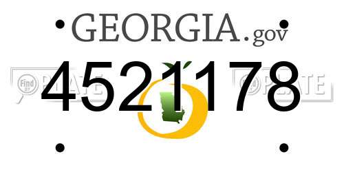 4521178 Georgia License Plate
