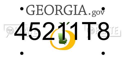 45211T8 Georgia License Plate