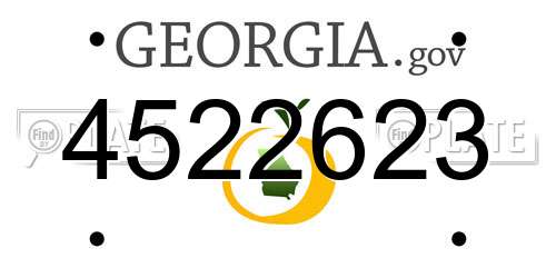 4522623 Georgia License Plate
